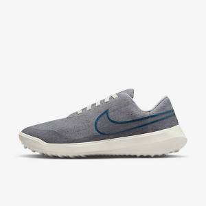 Women's Nike Victory G Lite NN Golf Shoes Grey | NK261FGU